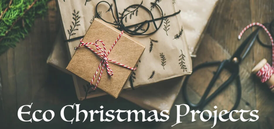 Eco Christmas Projects
