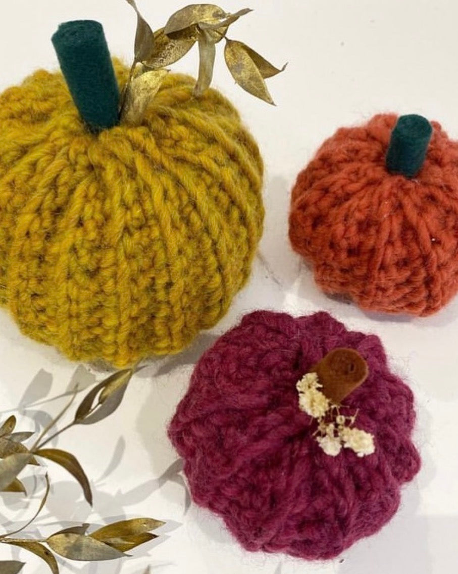 Crochet for Beginners - Pumpkin DUNDEE