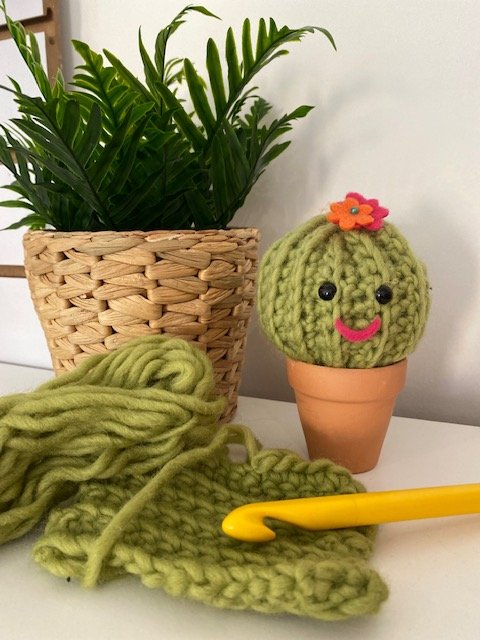 Crochet : Beginners Cute Cactus (Level 1) Dundee