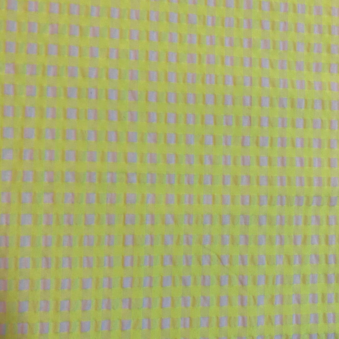 Small Neon Check | Cotton Yard Dyed | Two Colours